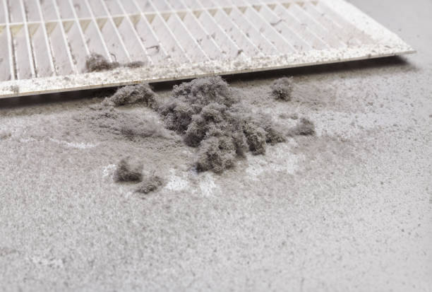 Best Dryer Vent Cleaning Services  in Frontenac, MO